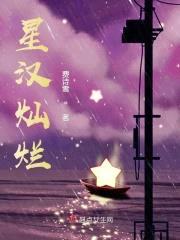 星汉灿烂封面