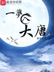 一梦入大唐封面