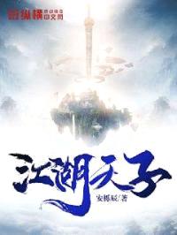 江湖天子封面