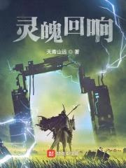 灵魄回响封面
