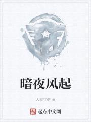 暗夜风起封面