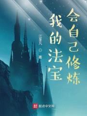 我的法宝会自己修炼封面
