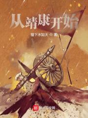 从靖康开始封面