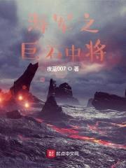 海军之巨石中将封面