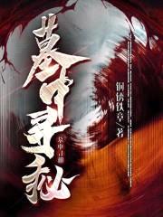 墓中寻秘封面
