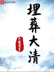 埋葬大清封面