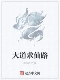 大道求仙路封面