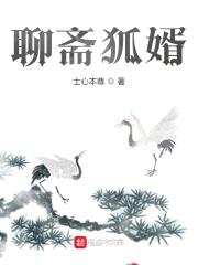 聊斋狐婿封面