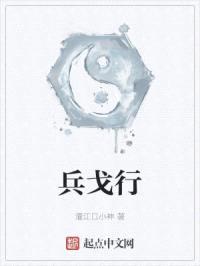 兵戈行封面