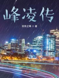 峰凌传封面