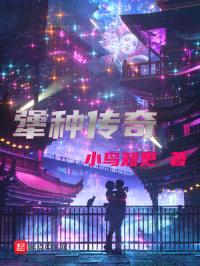 犟种传奇封面