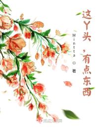 这丫头，有点东西封面