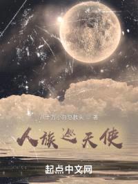 人族巡天使封面