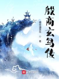 殷商玄鸟传封面