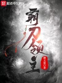 霸刀领主封面