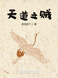 天道之贼封面