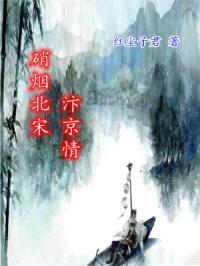硝烟北宋汴京情封面