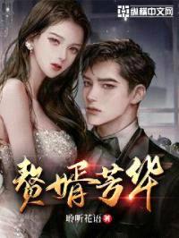 赘婿芳华封面