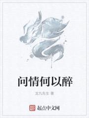 问情何以醉封面
