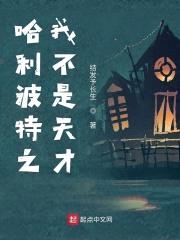 哈利波特之我不是天才封面