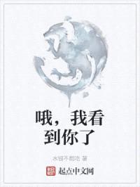 哦，我看到你了封面