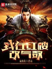 我在红楼改气数封面