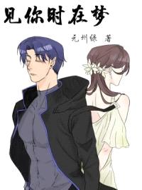 见你时在梦封面