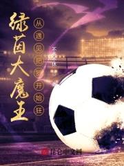 绿茵大魔王：从遇见肥罗开始狂！封面