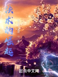 法术的崛起封面