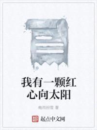 我有一颗红心向太阳封面