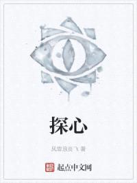 探心封面