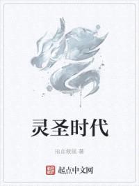 灵圣时代封面