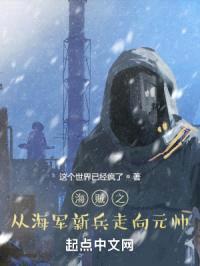 海贼之从海军新兵走向元帅封面