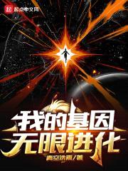 元基进化封面
