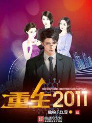 重生2011封面
