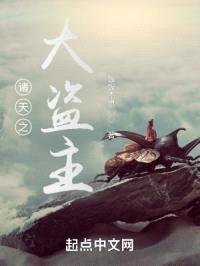 诸天之大盗主封面