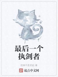 最后一个执剑者封面