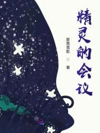 精灵的会议封面