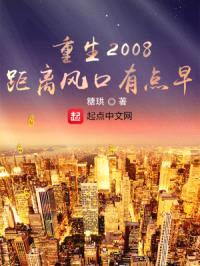 重生2008，距离风口有点早封面