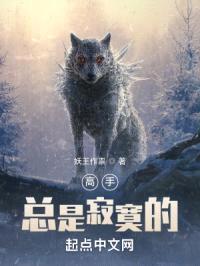 高手总是寂寞的封面