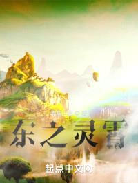 东之灵霄封面
