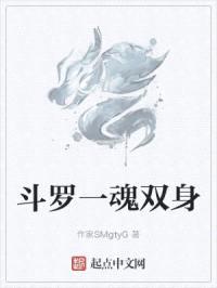 斗罗一魂双身封面