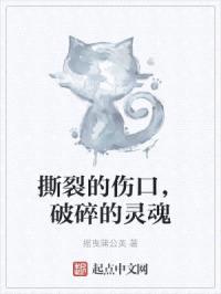 撕裂的伤口，破碎的灵魂封面