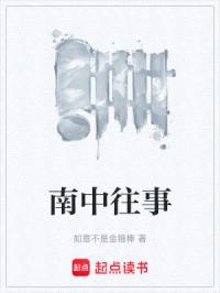 南中往事封面