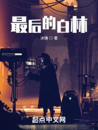 从彗星陨落开始封面