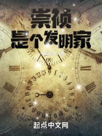 崇祯之军火大明封面