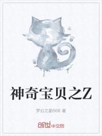 神奇宝贝之炎皇联盟封面