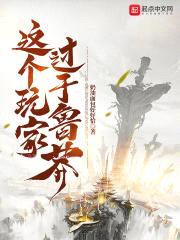 这个玩家过于鲁莽封面