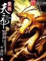 紫极天帝封面