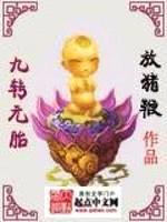 九转元胎封面